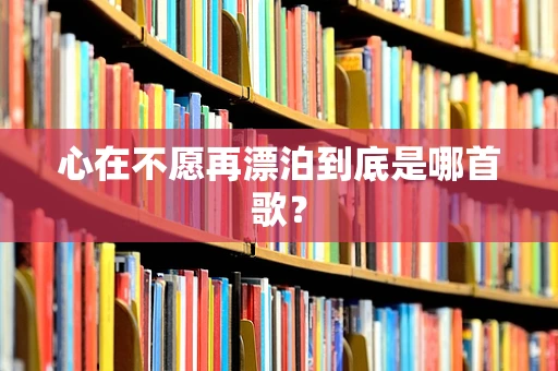 心在不愿再漂泊到底是哪首歌？