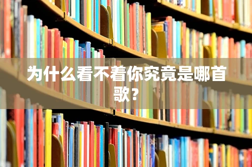 为什么看不着你究竟是哪首歌？