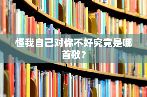 怪我自己对你不好究竟是哪首歌？