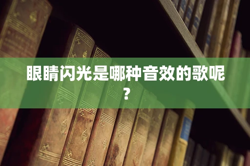 眼睛闪光是哪种音效的歌呢？