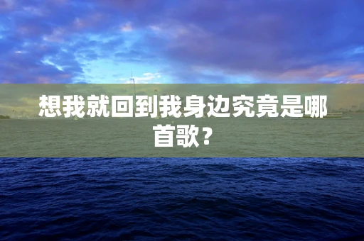 想我就回到我身边究竟是哪首歌？