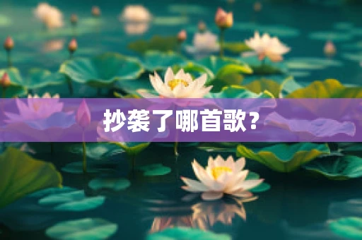 抄袭了哪首歌？